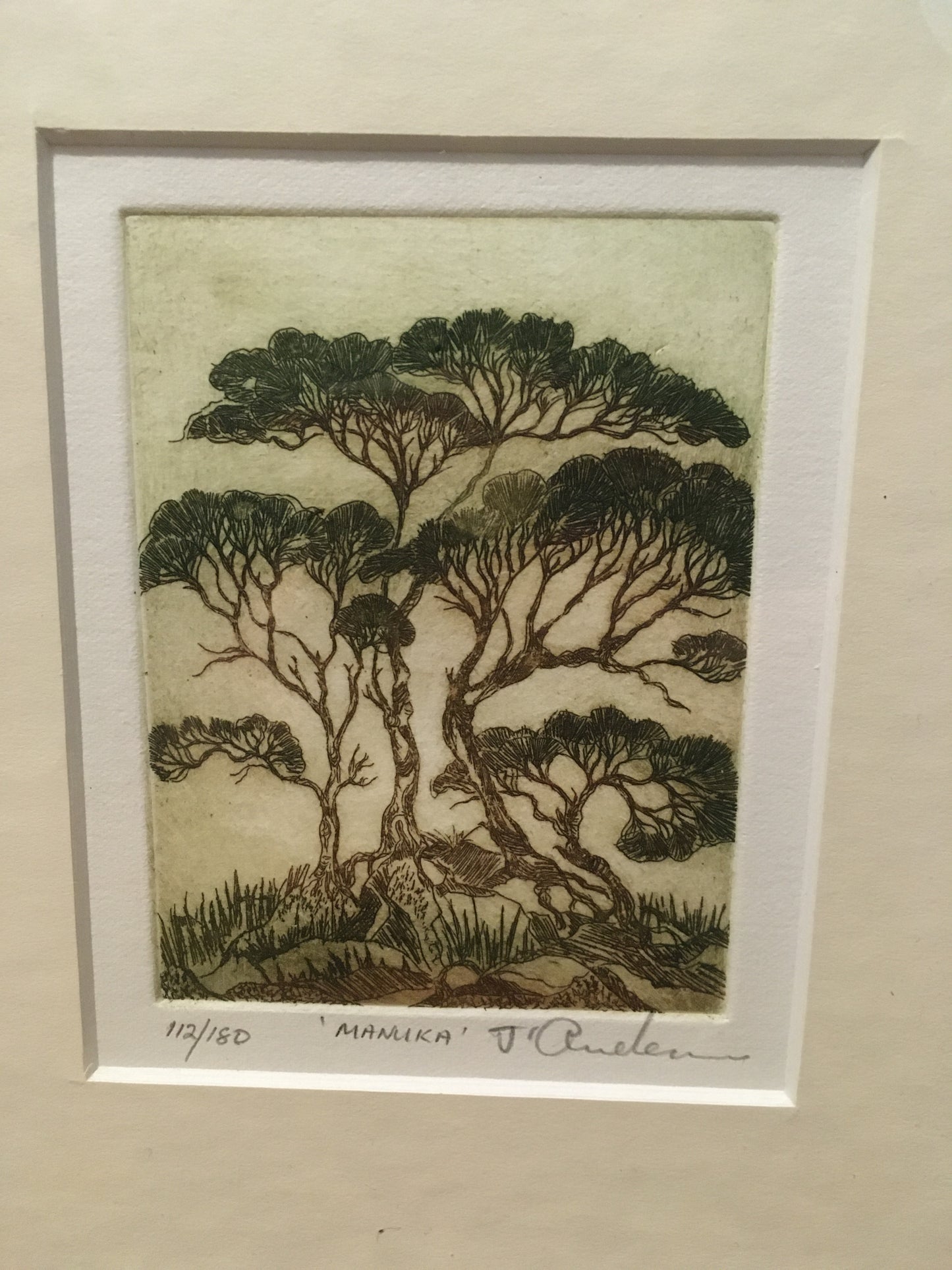 Manuka Limited Edition Etching