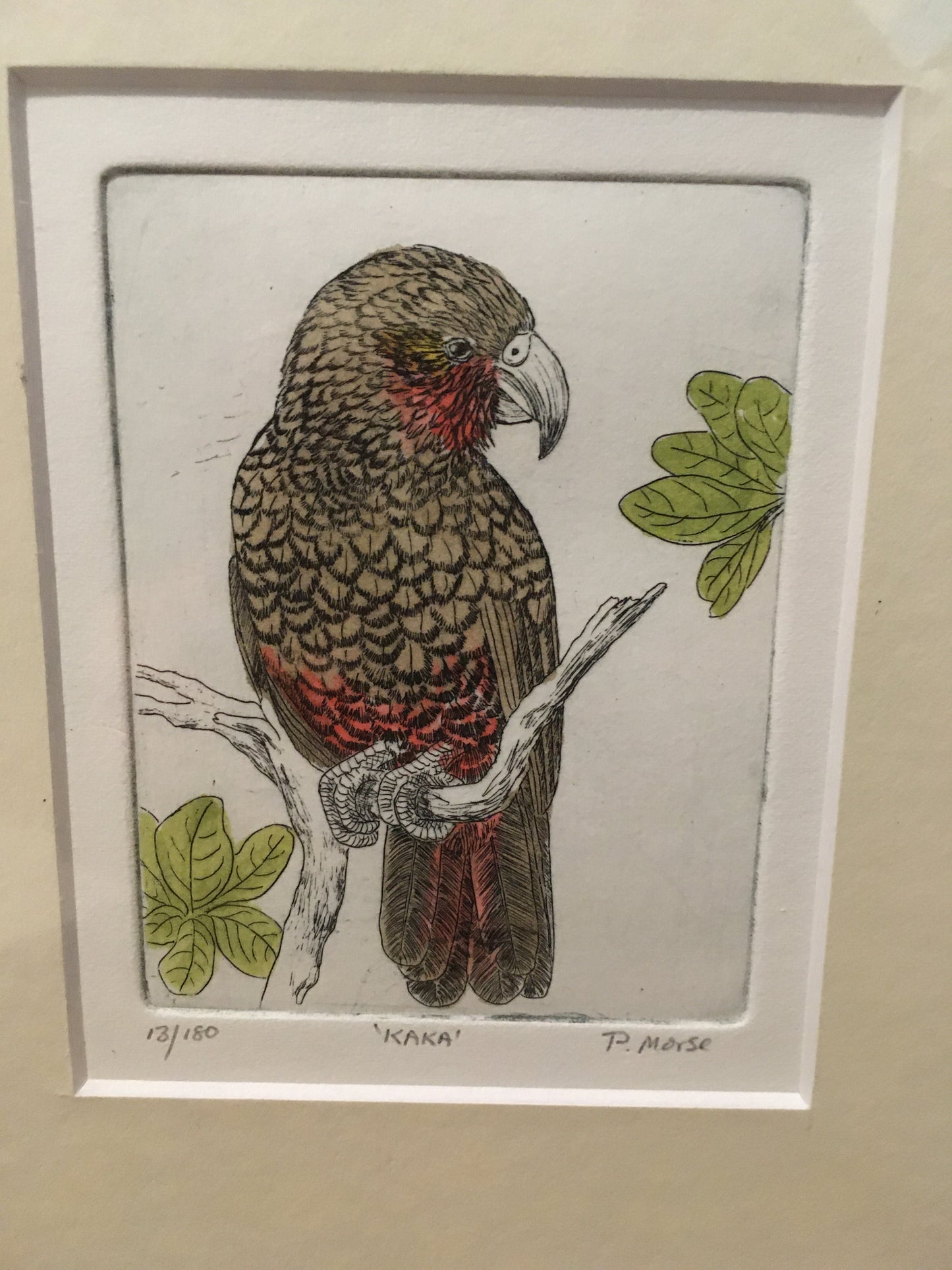 Kaka Limited Edition Etching