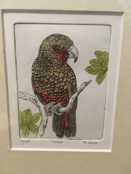 Kaka Limited Edition Etching