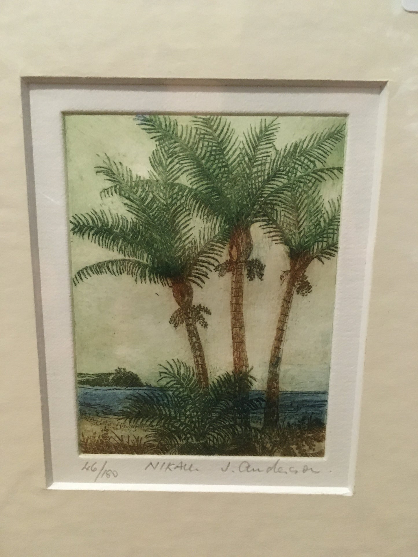 Nikau Limited Edition Etching