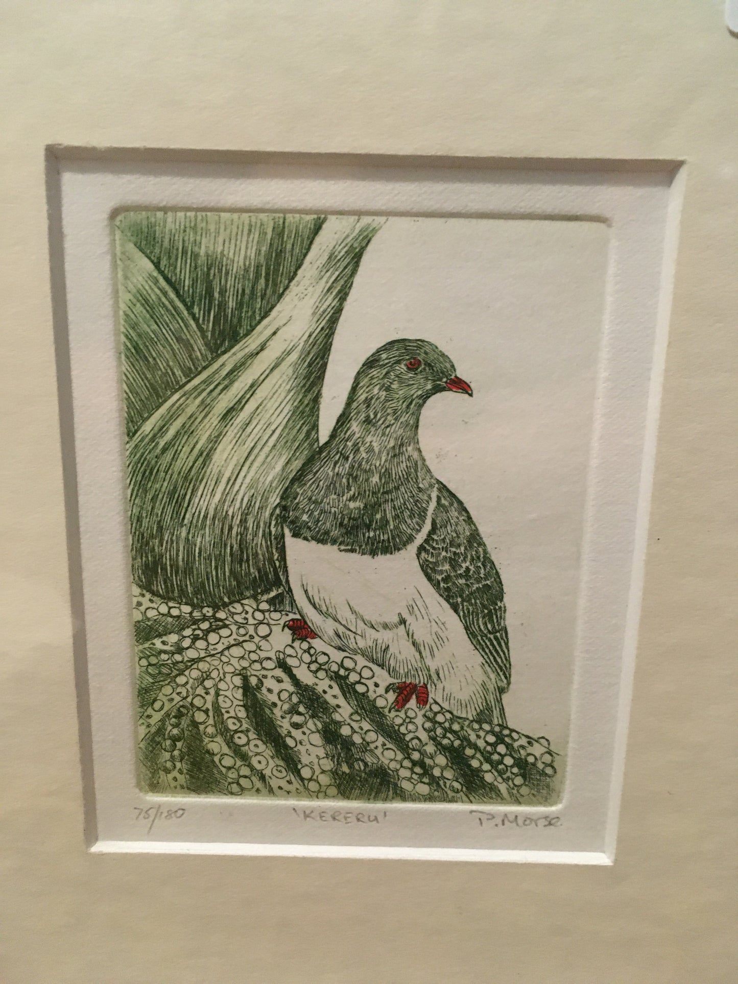 Kereru Limited Edition Etching