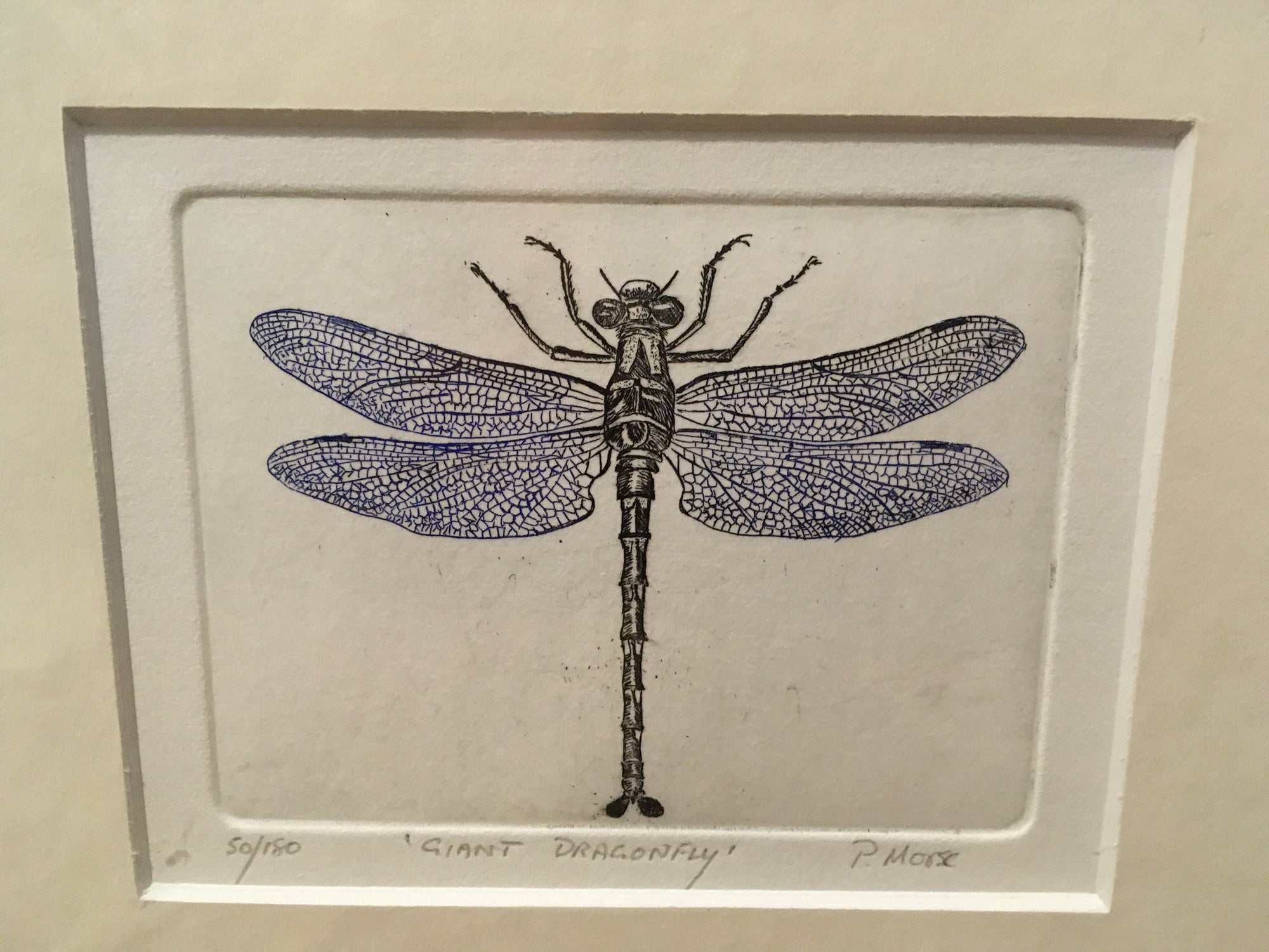 Giant Dragonfly Limited Edition Etching