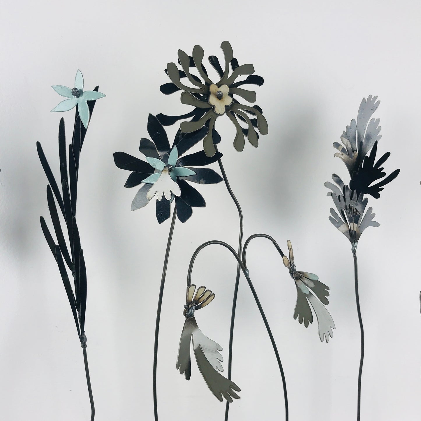 Picked and Plucked Stems