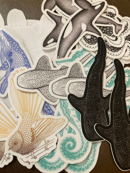 Marine Animal Stickers