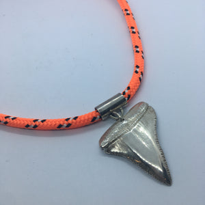 Found Stewart Island Necklace