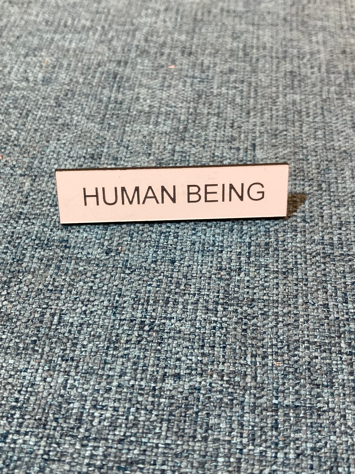 Human / Homosapien / Human Being / Fabulous Brooches
