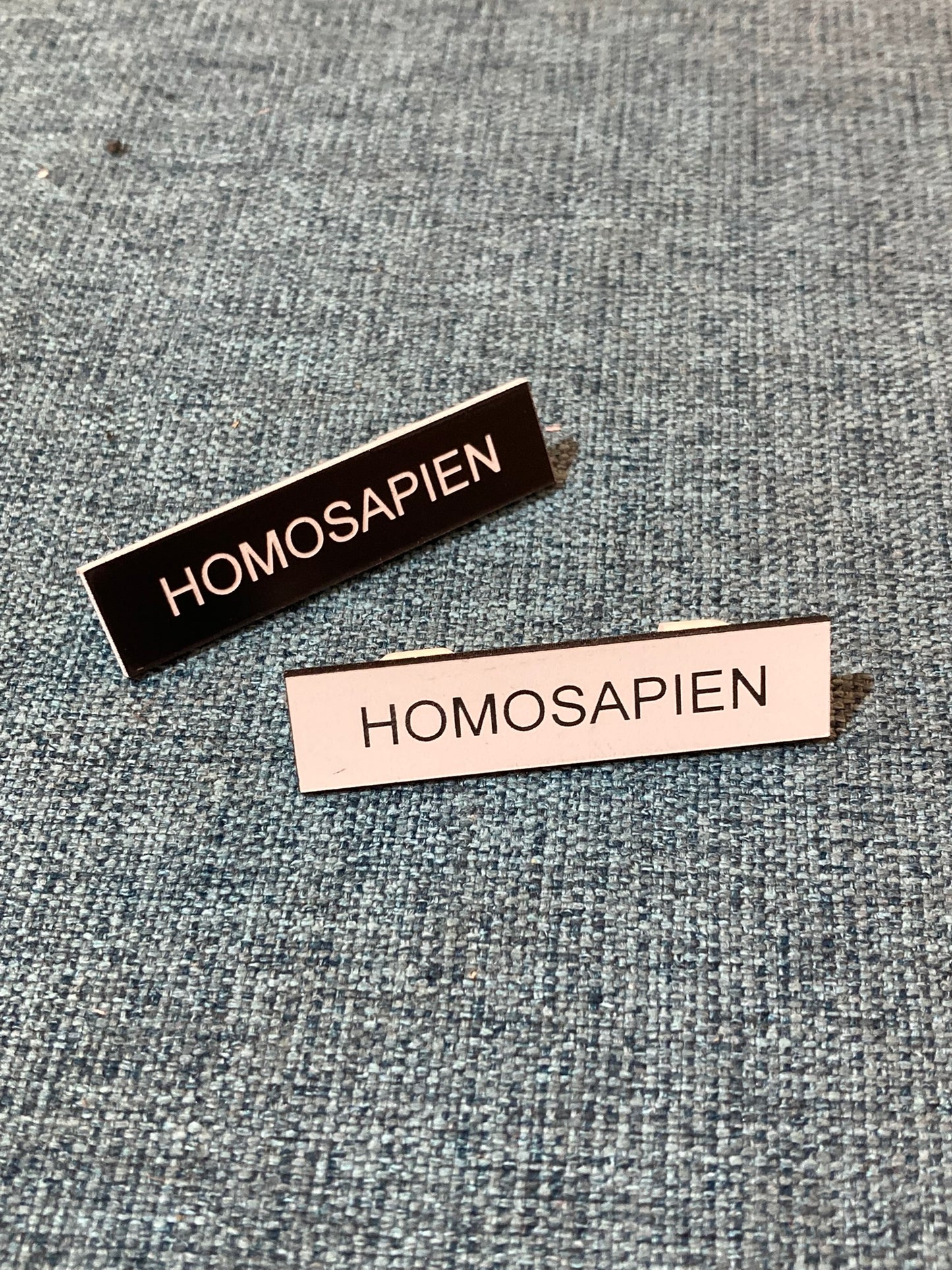 Human / Homosapien / Human Being / Fabulous Brooches