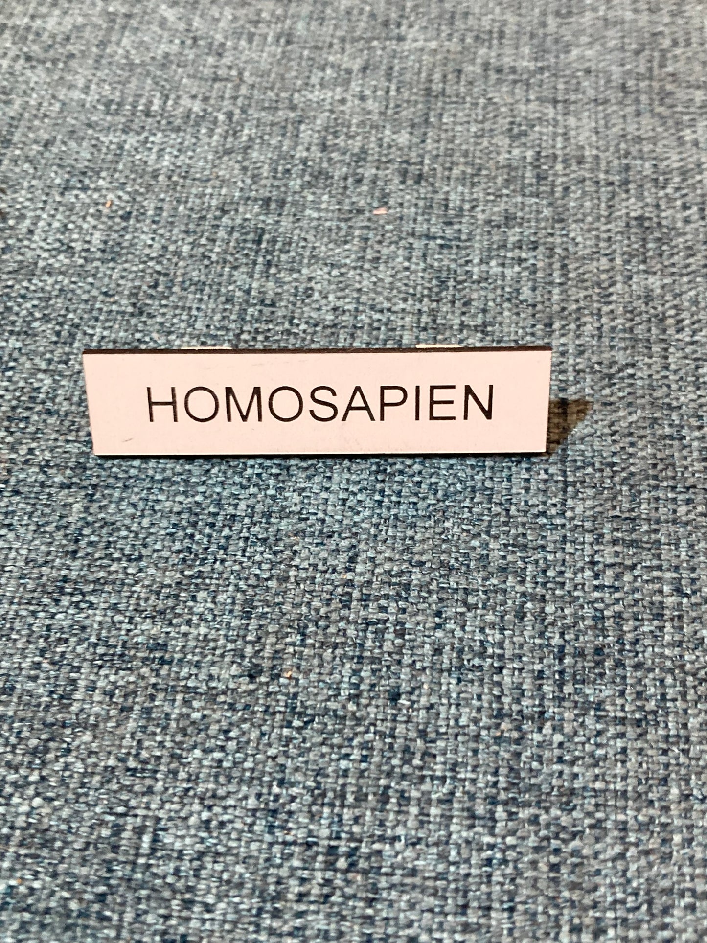 Human / Homosapien / Human Being / Fabulous Brooches