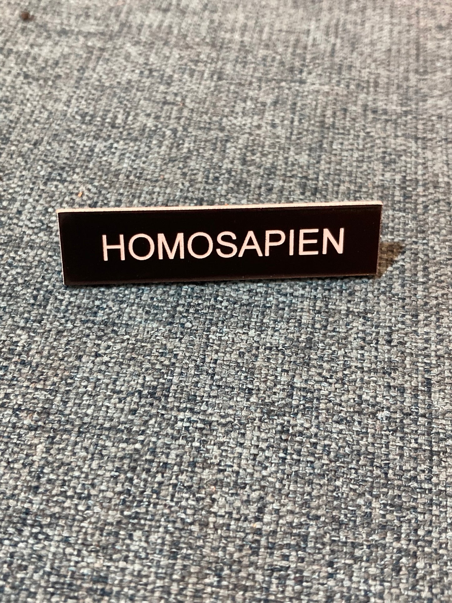 Human / Homosapien / Human Being / Fabulous Brooches