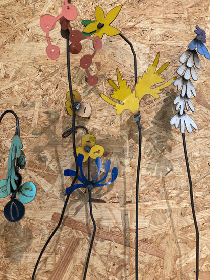 Picked and Plucked Stems