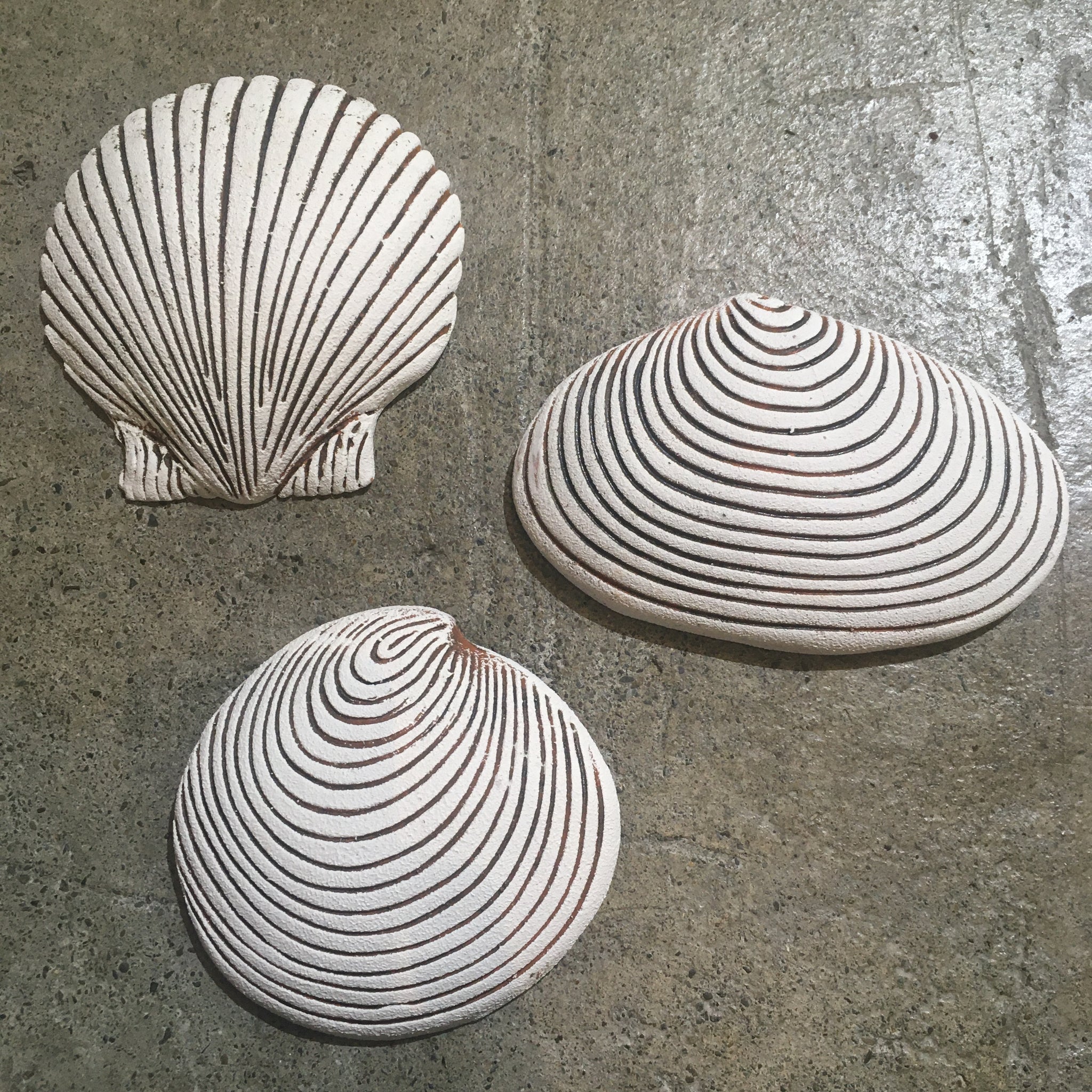 Pottery Wall Shells - The Cool Store Gallery