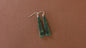 Pounamu Earrings