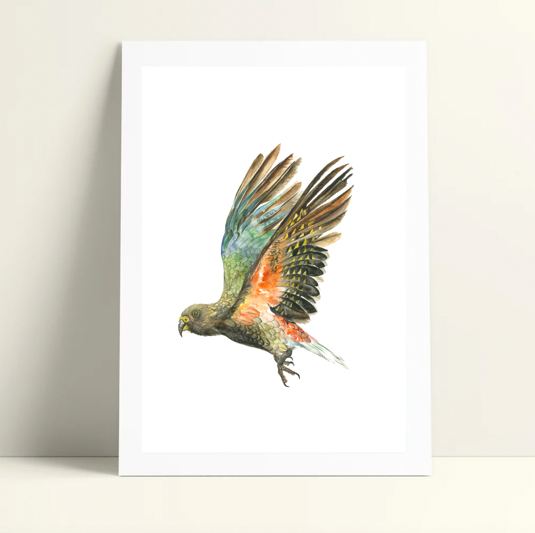 Kea in Flight - Limited Edition Print