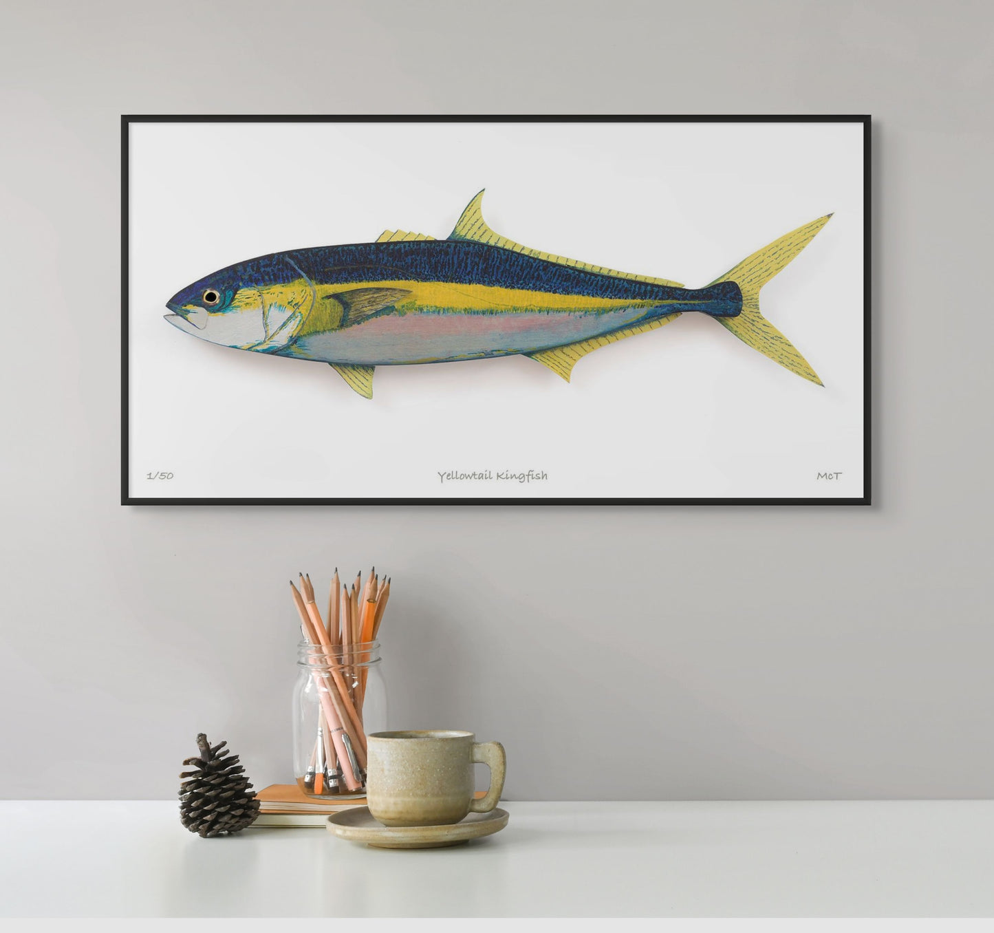 Yellowtail Kingfish