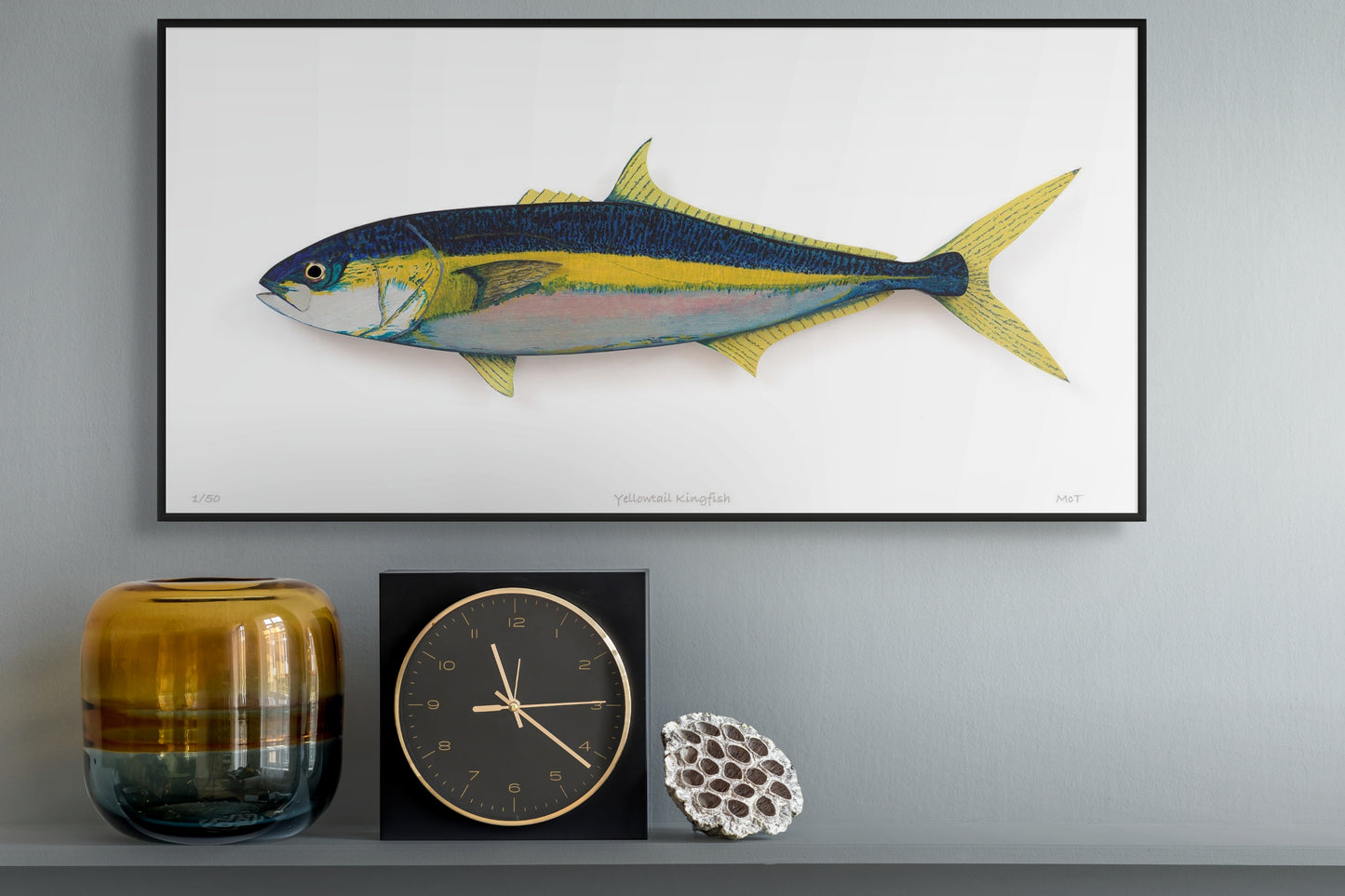 Yellowtail Kingfish