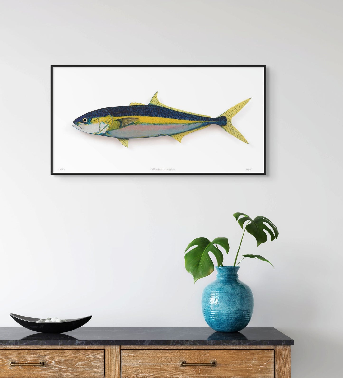 Yellowtail Kingfish
