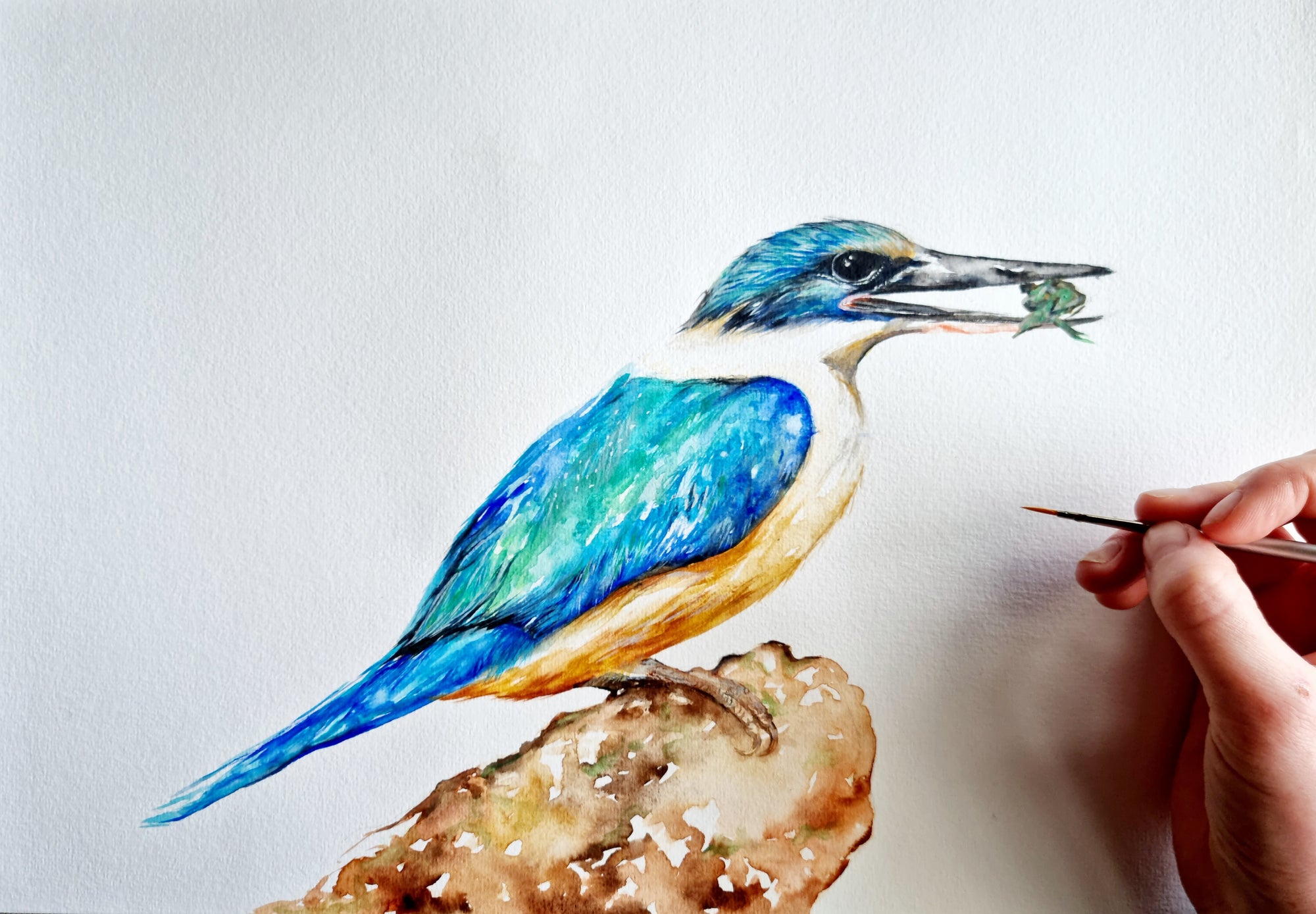 Kingfisher with Crab - Original Watercolour