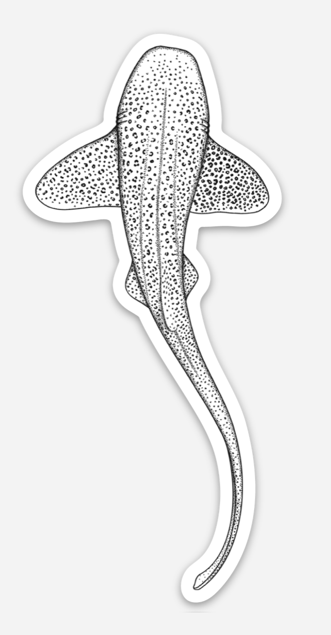 Marine Animal Stickers