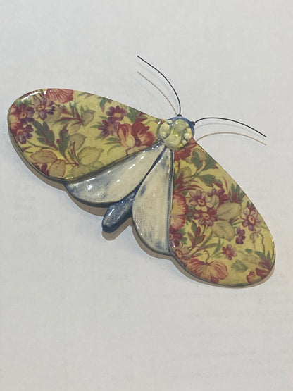 Porcelain Moths