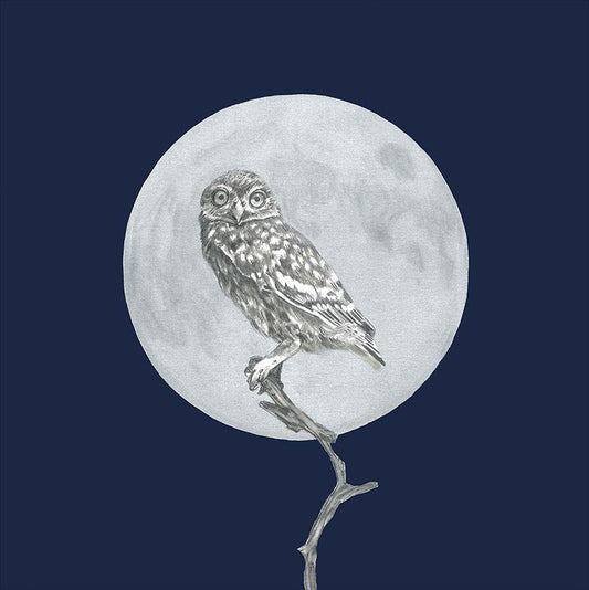 Moon and the Morepork Print