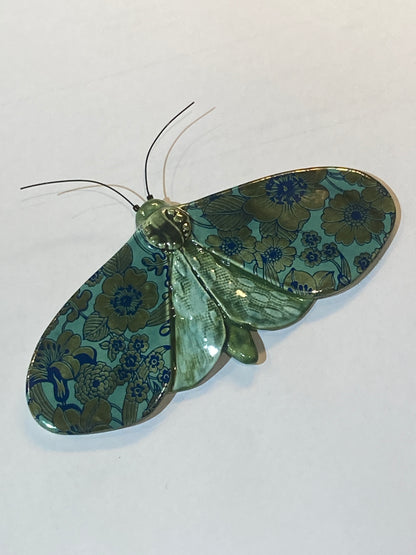 Porcelain Moths