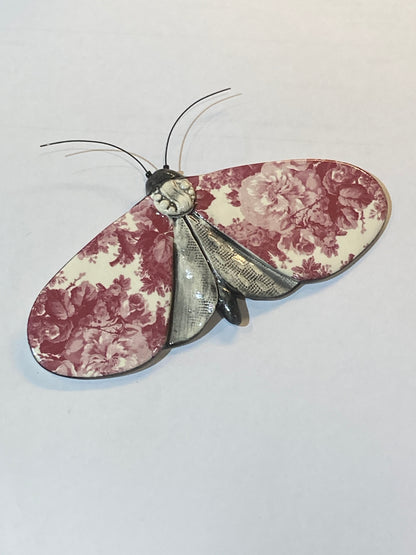 Porcelain Moths
