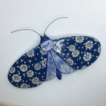 Porcelain Moths
