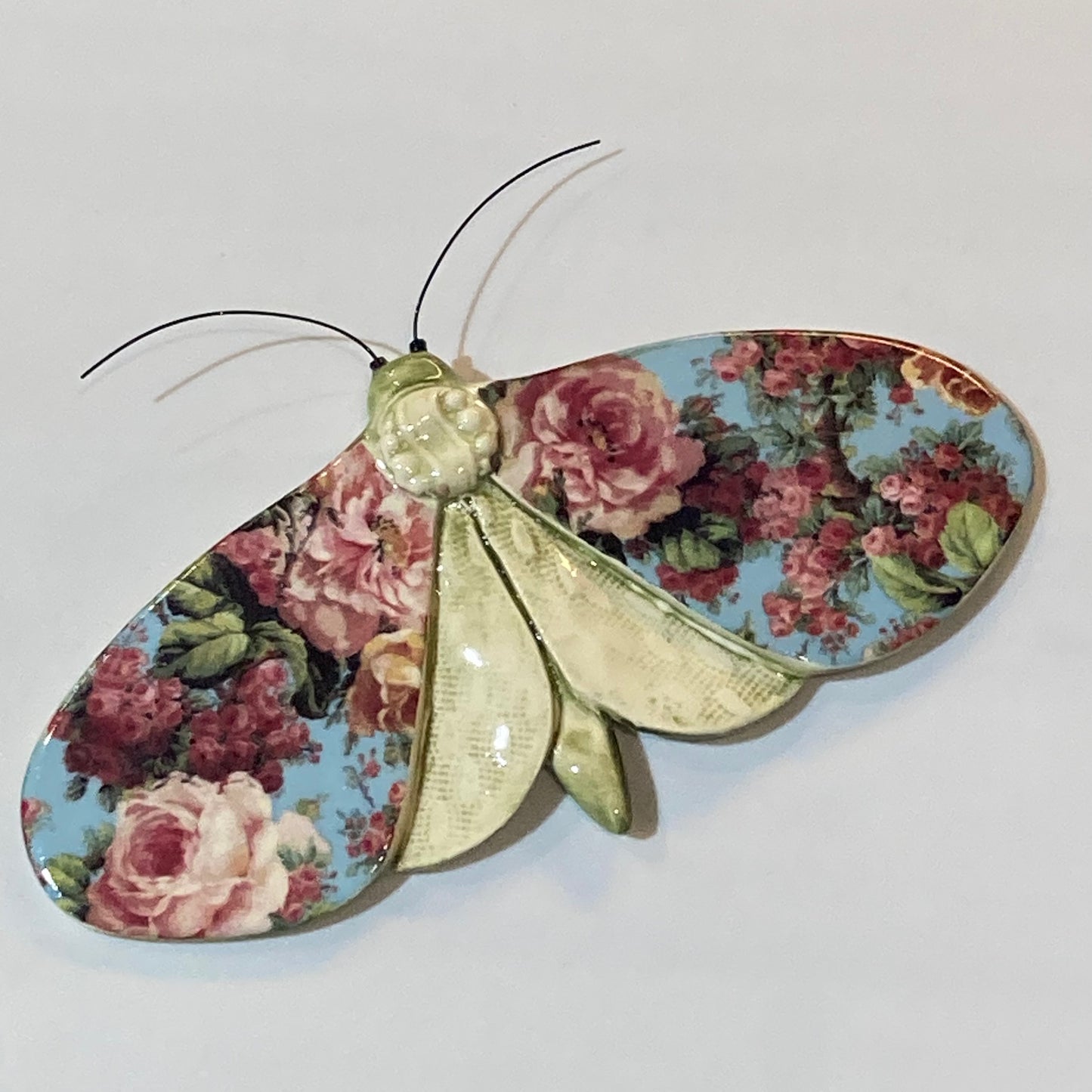 Porcelain Moths