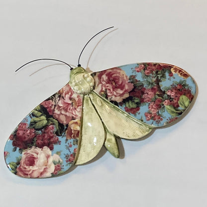 Porcelain Moths