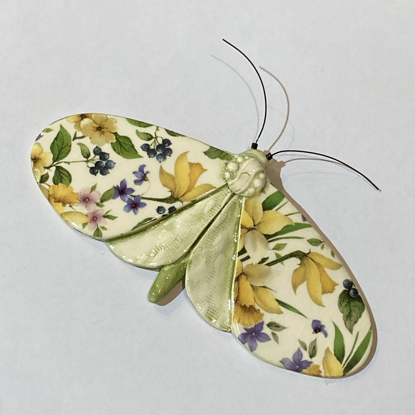 Porcelain Moths