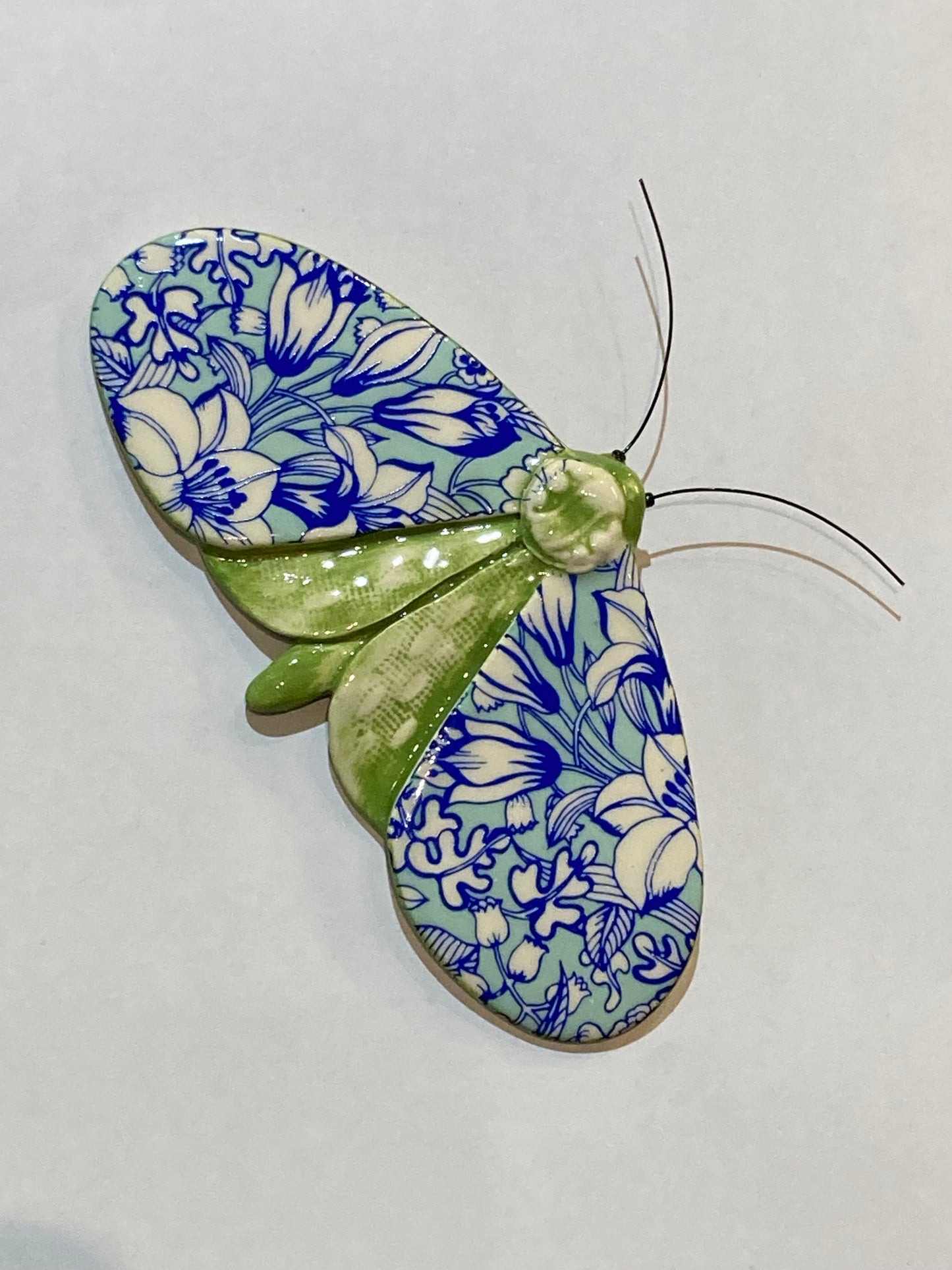 Porcelain Moths