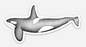 Marine Animal Stickers