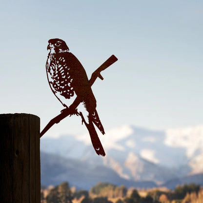 Karearea / New Zealand Falcon Metalbird