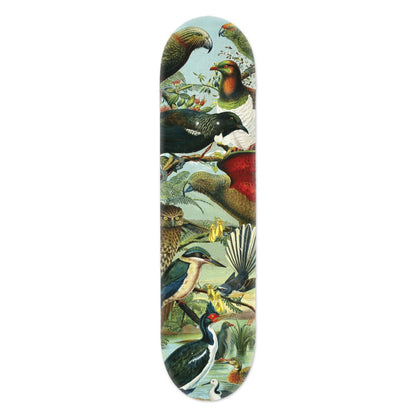 Skateboard Decks