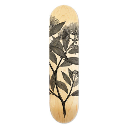 Skateboard Decks