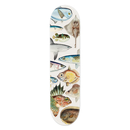 Skateboard Decks