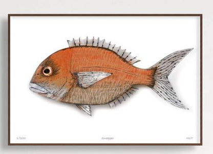 Snapper