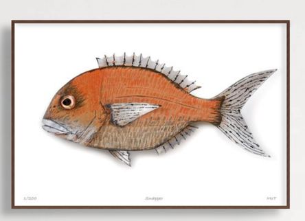 Snapper
