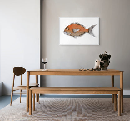 Snapper