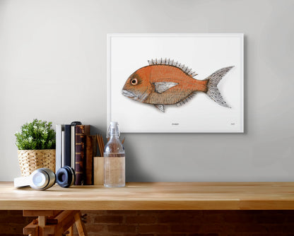 Snapper