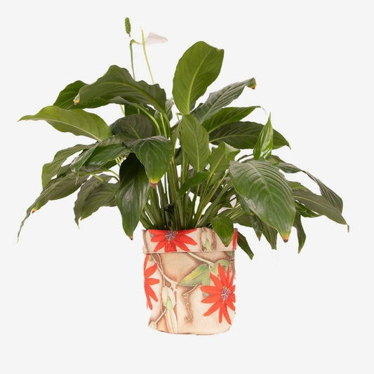 Rita Angus Plant Holder