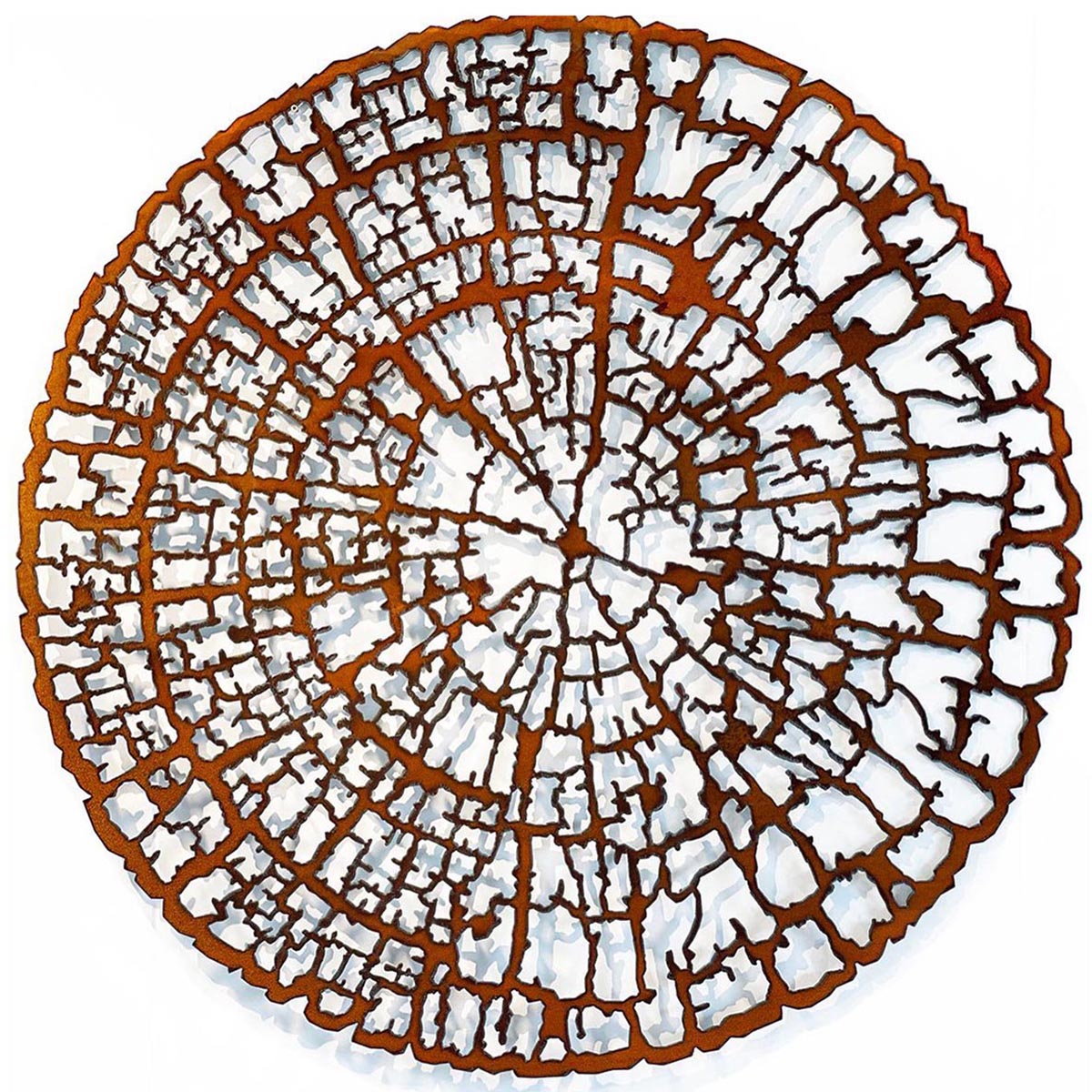 Tree Studies Wall Sculpture - Ring Study