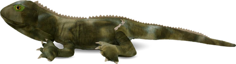 Kiwi Animal Soft Toys