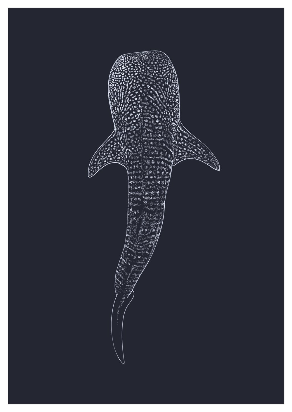 Whale Shark