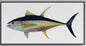 Yellowfin Tuna