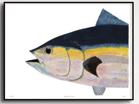 Yellowfin Tuna Head