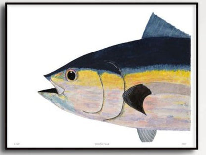 Yellowfin Tuna Head