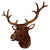 Stag Wall Trophy Head