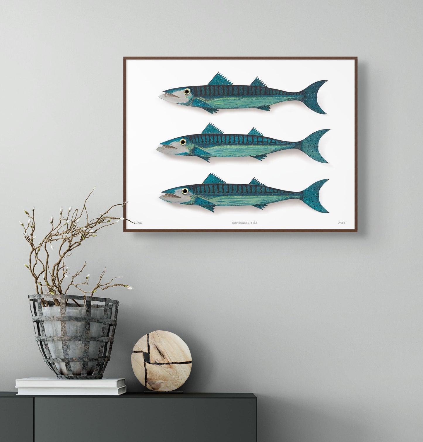 Barracuda Trio