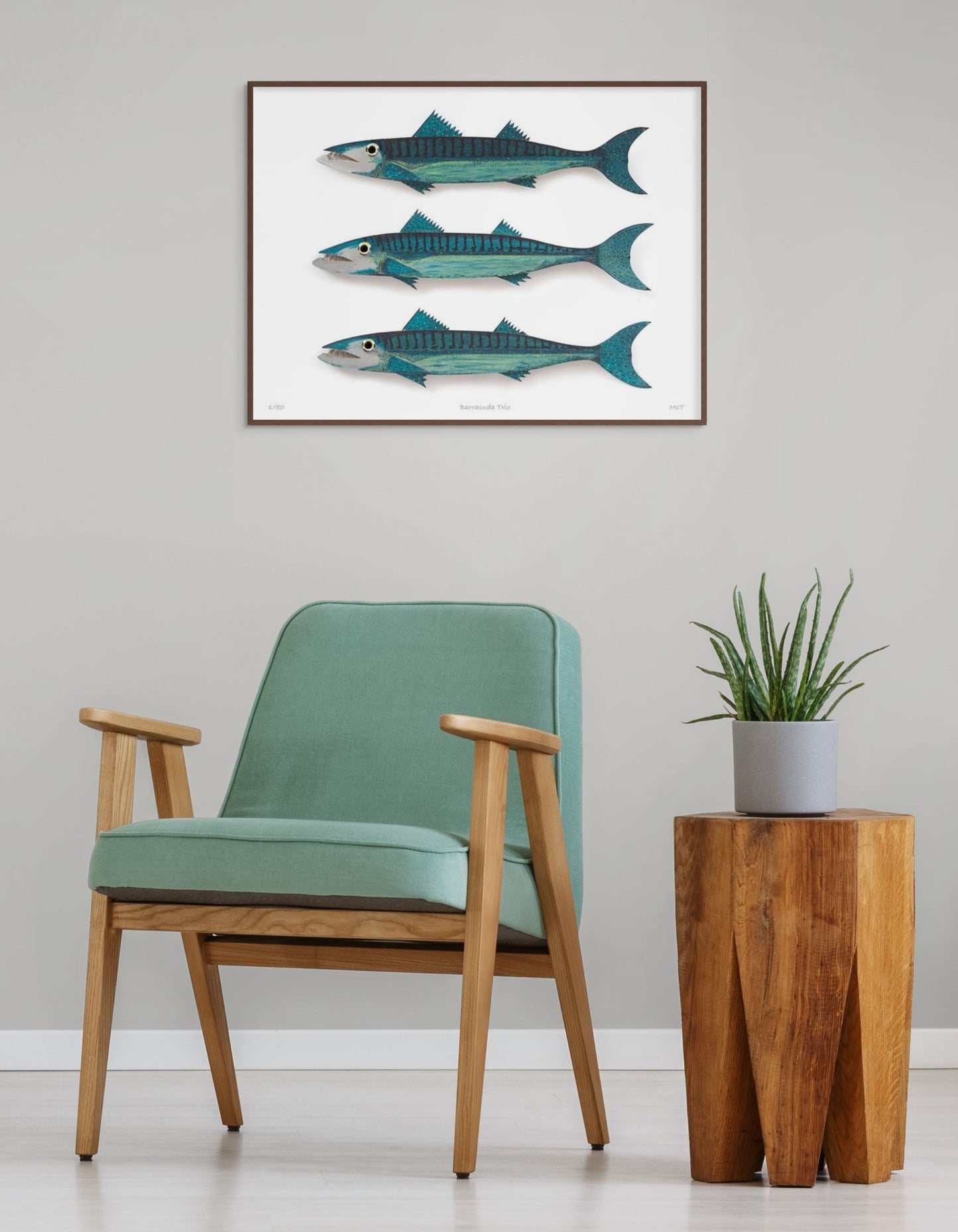 Barracuda Trio